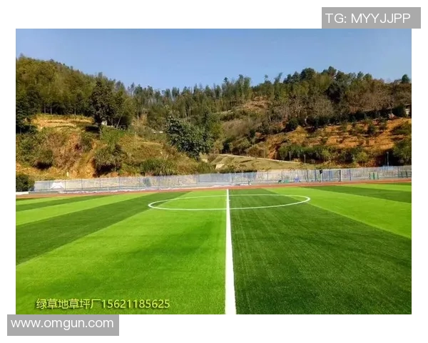人工草足球场造价分析及影响因素探讨与预算建议 人工草足球场造价分析及影响因素探讨与预算建议