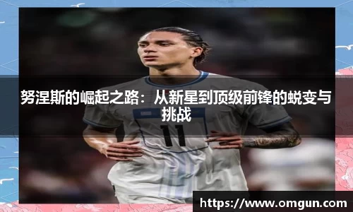 努涅斯的崛起之路：从新星到顶级前锋的蜕变与挑战