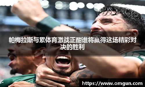 帕梅拉斯与累体育激战正酣谁将赢得这场精彩对决的胜利